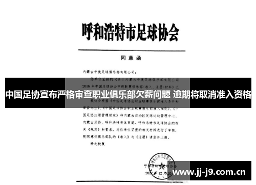 中国足协宣布严格审查职业俱乐部欠薪问题 逾期将取消准入资格 中国足协宣布严格审查职业俱乐部欠薪问题 逾期将取消准入资格